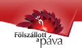 pava_logo pava_logo
