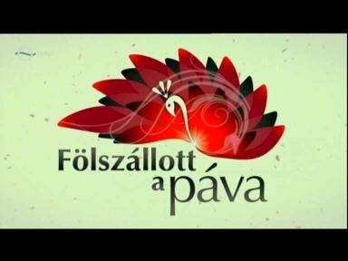 folszallott_a_pava folszallott_a_pava