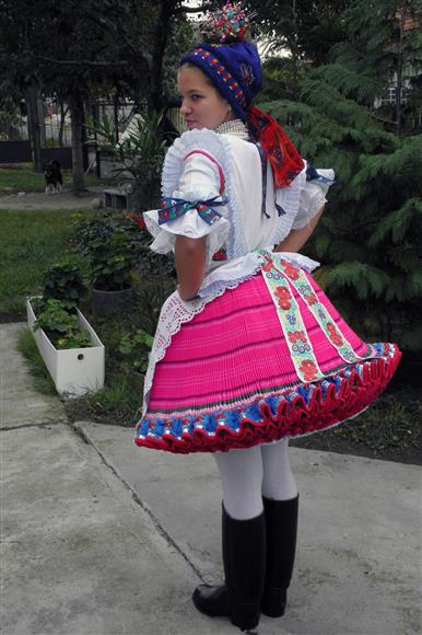 bujak bujak