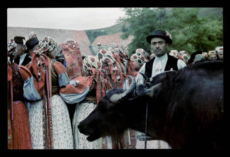 pompas kalotaszeg