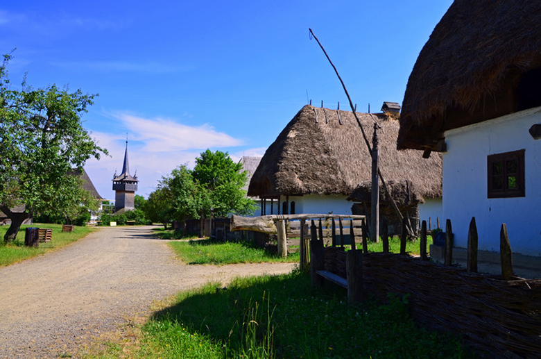 skanzen 50