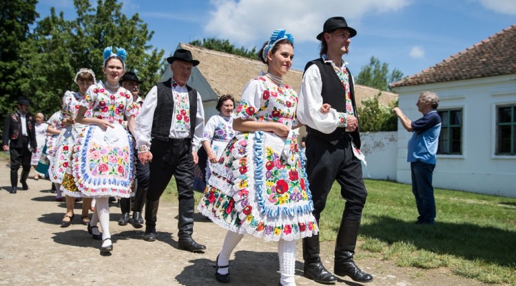 nepi kultura konferencia