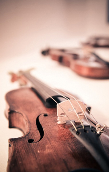violin 560