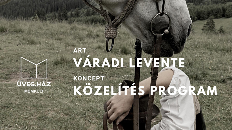 varadi levente mom